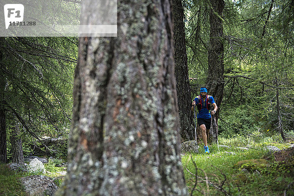 Italien  Alagna  Trailrunner unterwegs im Wald