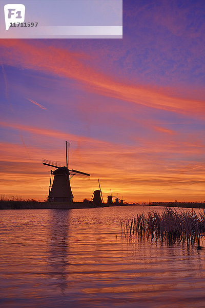 Niederlande  Rotterdam  Windmühlen am Kinderdijk bei Sonnenaufgang