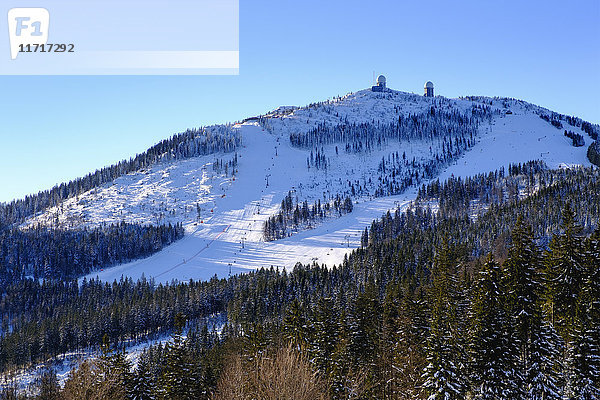 Deutschland  Bayern  Bayerischer Wald im Winter  Großes Arber Skigebiet