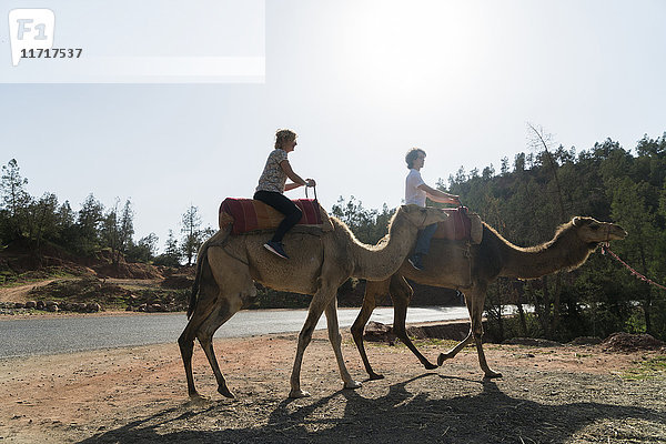 Marokko  Kamelreiten von Mann und Frau