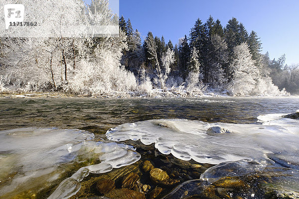 Deutschland  Bayern  Geretsried  Isar  gefrorenes Flussufer