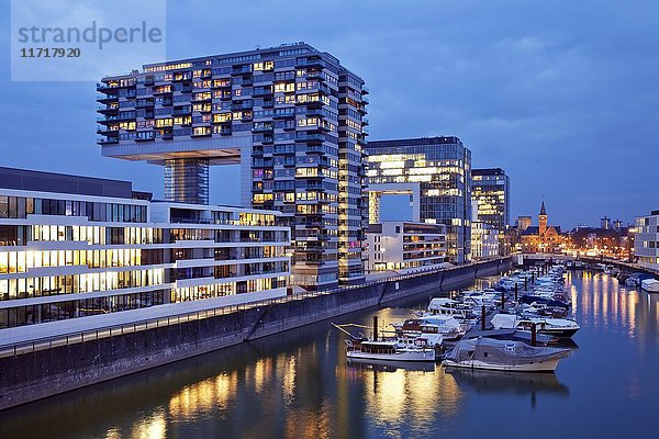 Kranichhäuser in der Abenddämmerung  Rheinauhafen  Köln  Rheinland  Nordrhein-Westfalen  Deutschland  Europa