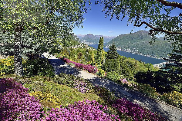 Blick vom Parco San Grato auf den Luganersee mit Seedamm von Melide  Carona  Lugano  Kanton Tessin  Schweiz  Europa