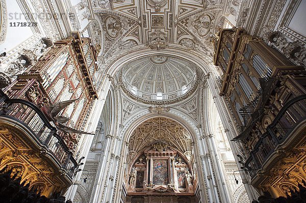 Orgel im Kirchenschiff  Mezquita-Catedral de Córdoba  Córdoba  Andalusien  Spanien  Europa