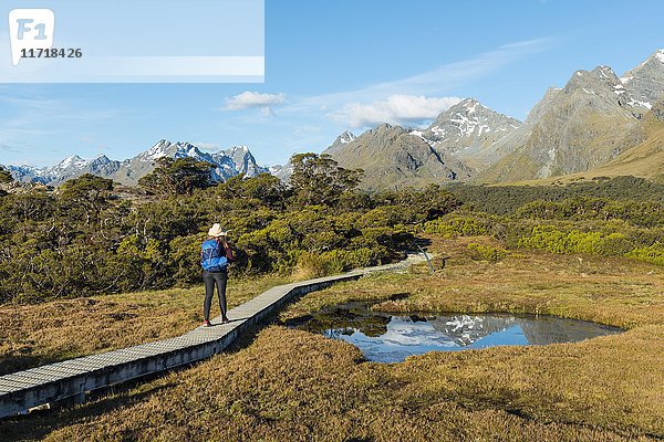 Wanderer auf einem Steg  Hochmoor  Bergseen und Ailsa Mountains  Key Summit Track  Fiordland National Park  Southland Region  Neuseeland  Ozeanien