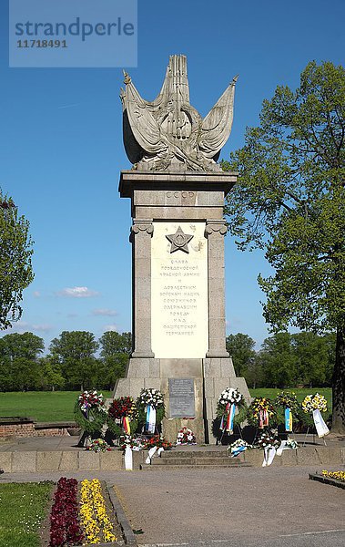 Denkmal für das Zusammentreffen der alliierten Streitkräfte  zur Erinnerung an das Zusammentreffen sowjetischer und amerikanischer Soldaten 1945 an der Elbe  Torgau  Sachsen  Deutschland  Europa