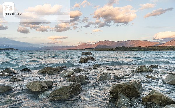 Sonnenuntergang  Ufer des Lake Tekapo  Region Canterbury  Südland  Neuseeland  Ozeanien