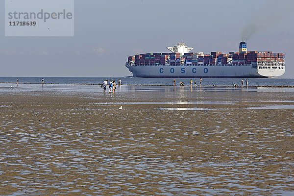 Containerschiff im Wattenmeer  Cuxhaven  Niedersachsen  Deutschland  Europa