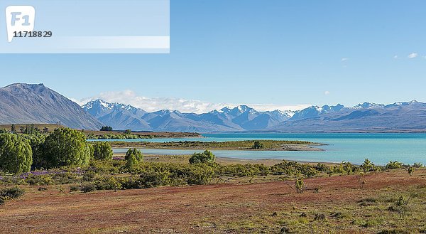 Blick auf den Lake Tekapo und die Südalpen  Region Canterbury  Südland  Neuseeland  Ozeanien