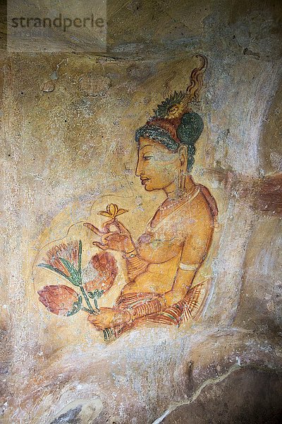 Felsenmalerei Fresko eines Mädchens  Felsenfestung  Sigiriya  Zentralprovinz  Sri Lanka  Asien