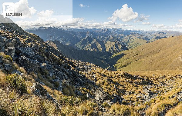 Blick auf Berge  Weg zum Ben Lomond  Südliche Alpen  Otago  Südinsel  Neuseeland  Ozeanien