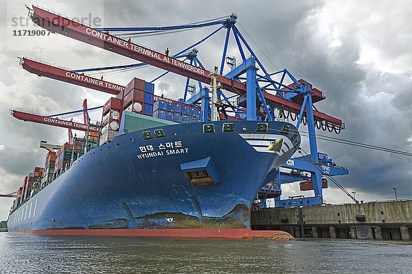 Containerschiff Hyundai Smart  Containerverladung am Containerterminal Altenwerder  Hamburger Hafen an der Elbe  Hamburg  Deutschland  Europa