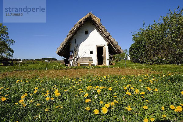 Keltisches Haus  historisches Dorf Landersdorf bei Thalmässing  Altmuehltaler Naturschutzgebiet  Mittelfranken  Franken  Bayern  Deutschland  Europa