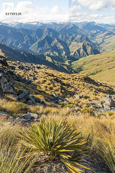 Blick auf Berge  Weg zum Ben Lomond  Südliche Alpen  Otago  Südinsel  Neuseeland  Ozeanien