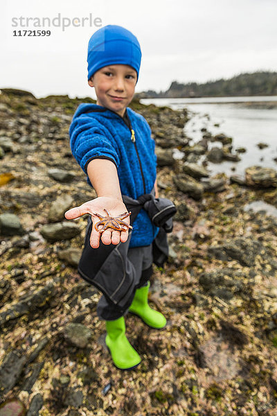 Kleiner Junge zeigt einen großen Seestern  Hesketh Island  Süd-Zentral-Alaska  USA