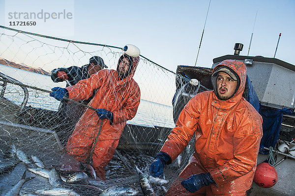 Eine kommerzielle Fischereibesatzung holt eine Ladung Hering in der Region Bristol Bay in Alaska ein  Südwest-Alaska  USA