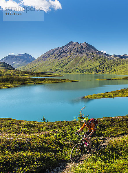 Ein Mann fährt mit dem Mountainbike auf dem Lost Lake Trail in der Nähe von Seward  Southcentral Alaska  USA