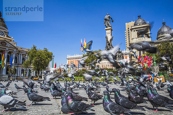 Der Präsidentenplatz in der Innenstadt von La Paz  Bolivien  ist voller Tauben; La Paz  Bolivien'.