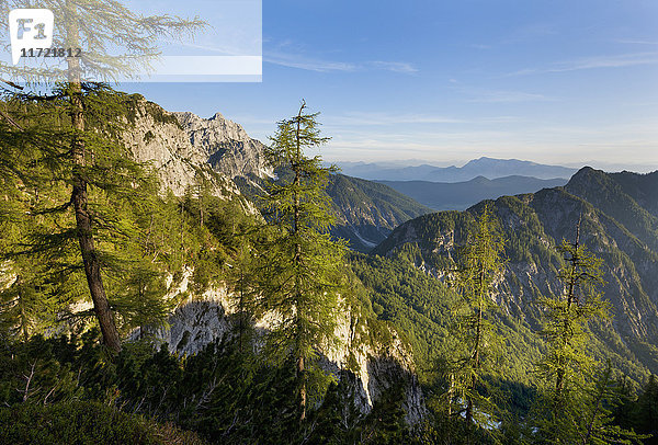 Blick in Richtung Österreich vom Weg nach Sleme in den Julischen Alpen; Kranjska Gora  Gorenjska  Slowenien'.