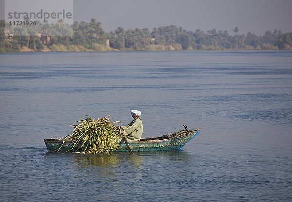 Mann rudert mit Zuckerrohr an Bord seines Bootes auf dem Nil; Ägypten'.