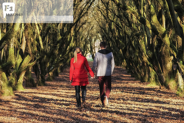Ein junges Paar geht händchenhaltend in einem Park spazieren; Oregon  Vereinigte Staaten von Amerika
