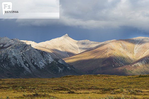 Brooks Range  Gates Of The Arctic National Park  Nordwest-Alaska; Alaska  Vereinigte Staaten von Amerika'.