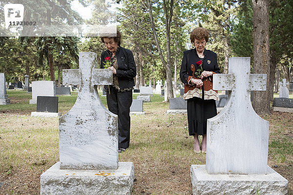 Zwei Frauen  die einzelne rote Rosen halten  stehen an zwei Gräbern nebeneinander auf einem Friedhof; Edmonton  Alberta  Kanada'.