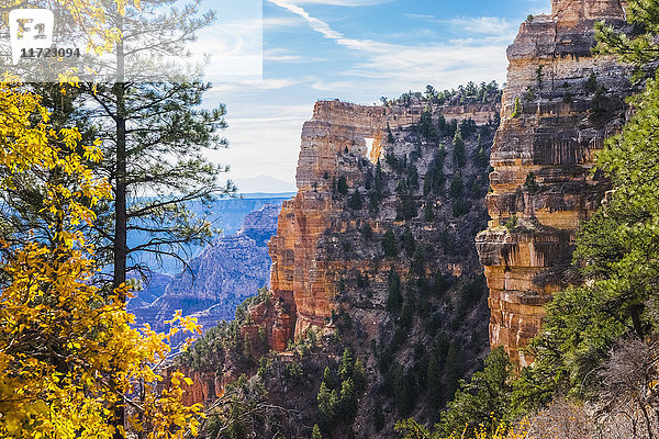 Grand Canyon National Park  Nordrand; Arizona  Vereinigte Staaten von Amerika'.