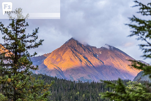 Sonnenuntergang beleuchtet einen Berghang der Kenai Mountains in der Nähe des Moose Pass  Süd-Zentral-Alaska  USA