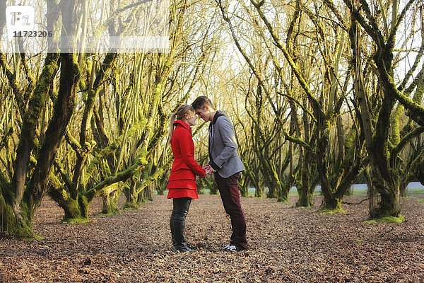 Ein junges Paar steht in einem Park  Gesicht an Gesicht  die Stirnen berühren sich; Oregon  Vereinigte Staaten von Amerika'.
