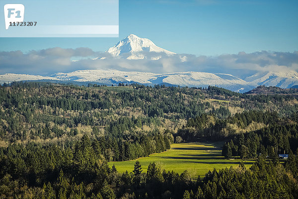 Mount Hood vom Sandy Lookout; Sandy  Oregon  Vereinigte Staaten von Amerika'.