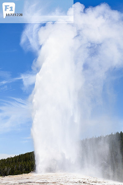 Old Faithful Geysir  Yellowstone National Park; Wyoming  Vereinigte Staaten von Amerika'.