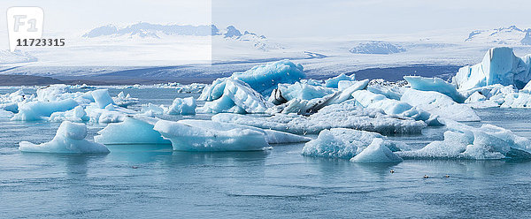 Ein schöner  sonniger Tag zeigt die majestätischen Rieseneisberge in diesem Panoramablick auf die Gletscherlagune; Jokulsarlon  Island'.