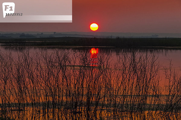 Eine glühende Sonne  die über dem Horizont versinkt  mit einem rosa Himmel  der sich im ruhigen Wasser des Echo Lake spiegelt; Saskatchewan  Kanada'.
