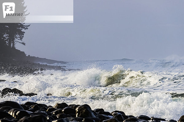 Wellen schlagen gegen die Felsen in der Nähe von Tillamook Head an der Küste von Oregon; Seaside  Oregon  Vereinigte Staaten von Amerika'.