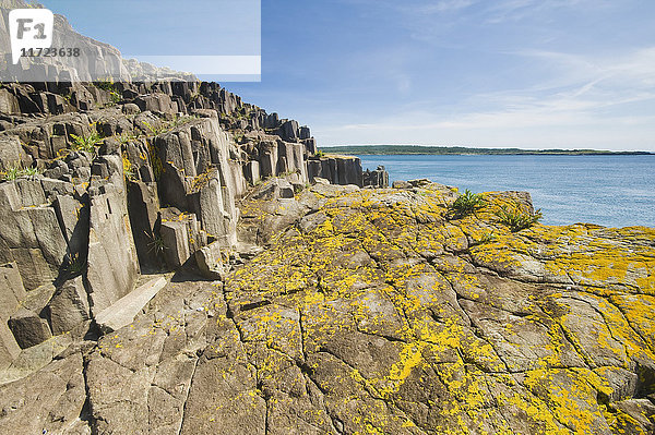 Basaltklippen  Bay of Fundy; Brier Island  Nova Scotia  Kanada'.