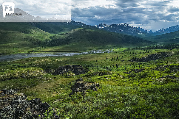 Sommer entlang des Dempster Highway im Klondike-Tal; Yukon  Kanada'.