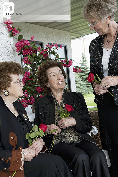 Drei Frauen  die sich unterhalten und einzelne rote Rosen halten; Edmonton  Alberta  Kanada'.