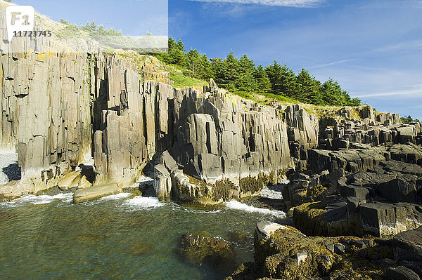 Basaltklippen  Bay of Fundy; Brier Island  Nova Scotia  Kanada'.