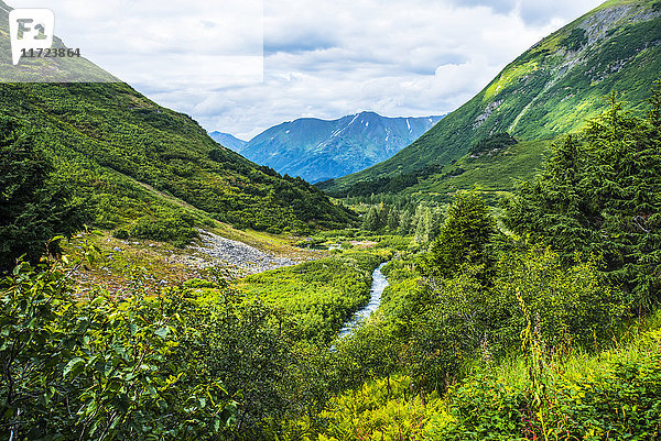Der Johnson Pass Trail im Sommer  Southcentral Alaska  USA