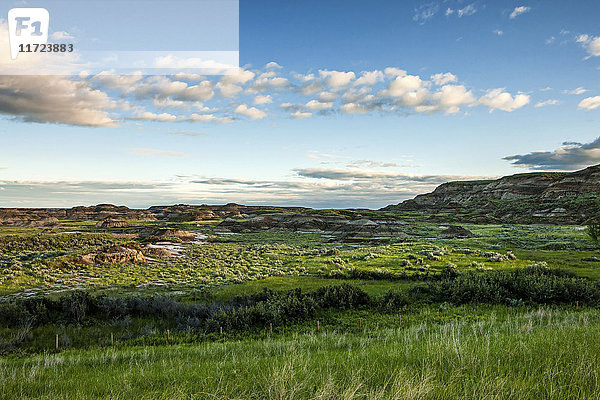 Landschaft mit grünem Laub und braunen Hügeln unter einem blauen Himmel mit Wolken; Herschel  Saskatchewan  Kanada'.