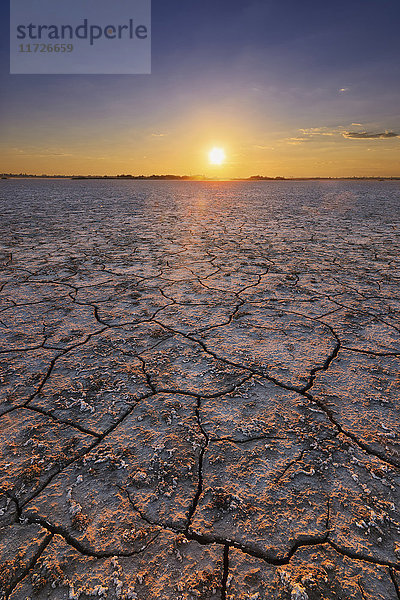 Ukraine  Gebiet Dnepropetrowsk  Bezirk Nowomoskowskij  Soleniy Lyman See  Wüste bei Sonnenuntergang