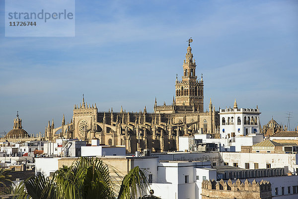 Spanien  Andalusien  Sevilla  Stadtbild mit Giralda-Turm und Kathedrale