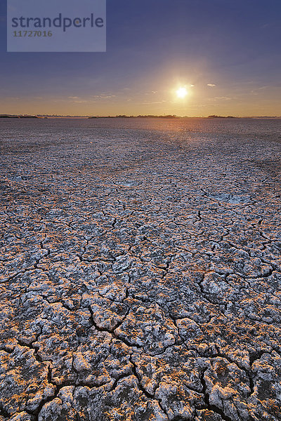 Ukraine  Gebiet Dnepropetrowsk  Bezirk Nowomoskowskij  Soleniy Lyman See  Wüste bei Sonnenuntergang
