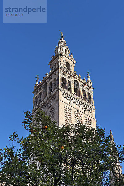 Spanien  Sevilla  Fassade des Giralda-Turms