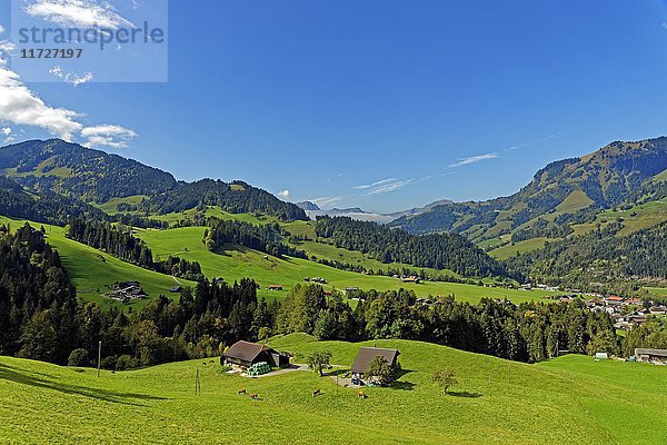 Berglandschaft  Les Moulins  Kanton Waadt  Schweiz  Europa