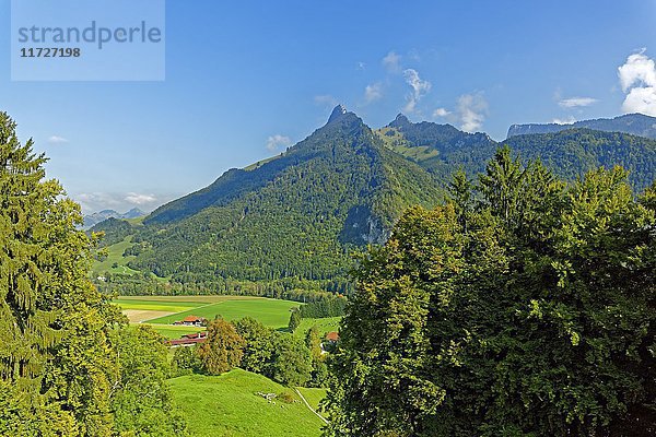 Berglandschaft  Kanton Fribourg  Schweiz  Europa