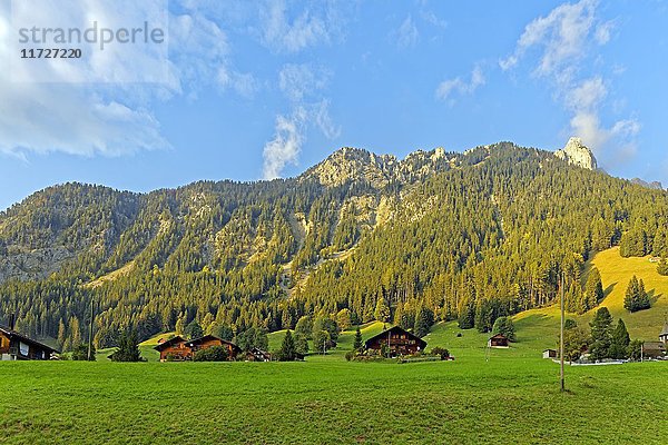 Schweizer Alpen  L'Etivaz  Kanton Waadt  Schweiz  Europa