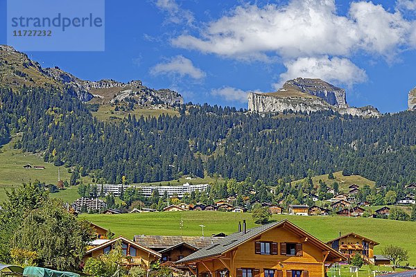 Berglandschaft  Leysin  Kanton Waadt  Schweiz  Europa