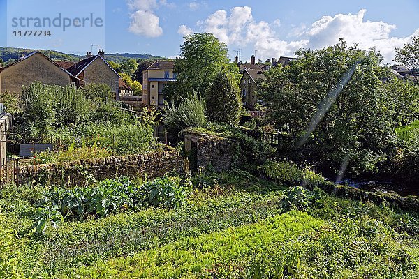 Bauerngarten  Arbois  Bourgogne-Franche-Comté  Frankreich  Europa